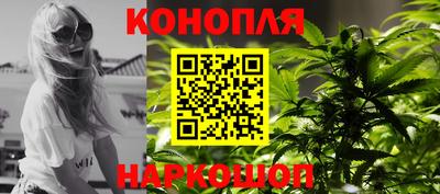 гидропоника Гатчина