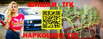 гидропоника Гатчина