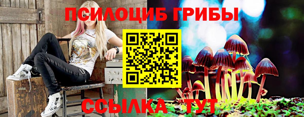 Мариинск  Псилоцибиновые грибы Magic Shrooms  Вход с VPN 
